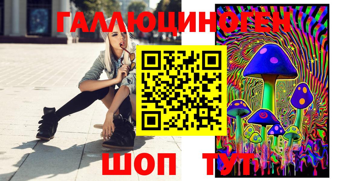 Псилоцибиновые грибы Psilocybe Кохма