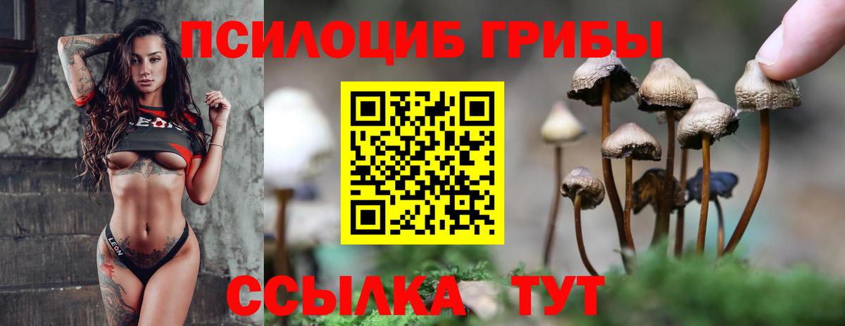 Галлюциногенные грибы MAGIC MUSHROOMS  Псилоцибиновые грибы MAGIC MUSHROOMS  Вход с VPN  Кохма 